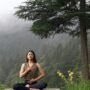 pexels-photo-26382826-26382826 Woman practicing meditation in serene forest environment, Dharamshala, India.